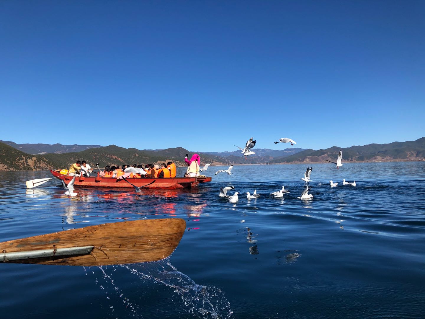 大涵文化2019年度七彩云南之旅活动圆满举行 大涵文化2019年度七彩云南之旅活动圆满举行